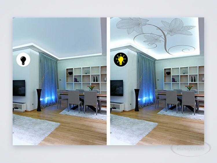 Натяжной потолок Double Vision "Лилия" Натяжной потолок Double Vision "Лилия"